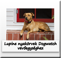 Lupine termékek Dogwatch vevőegységhez