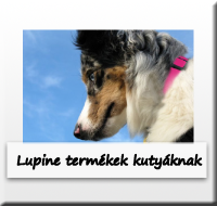 Lupine termékek kutyáknak