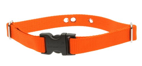 L méret 1\" Narancssárga szíj (50-80 cm)</br>Dogwatch vevőegységh