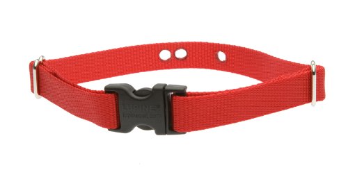 XS méret 3/4\" Piros szíj (25-30 cm)</br>Dogwatch vevőegységhez
